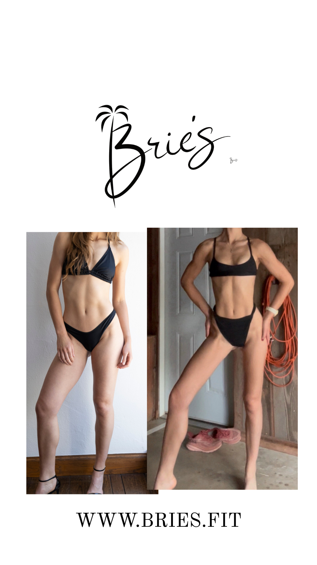 Download Brie's App | low-moderate impact workouts + programs based on anatomy + physiology!