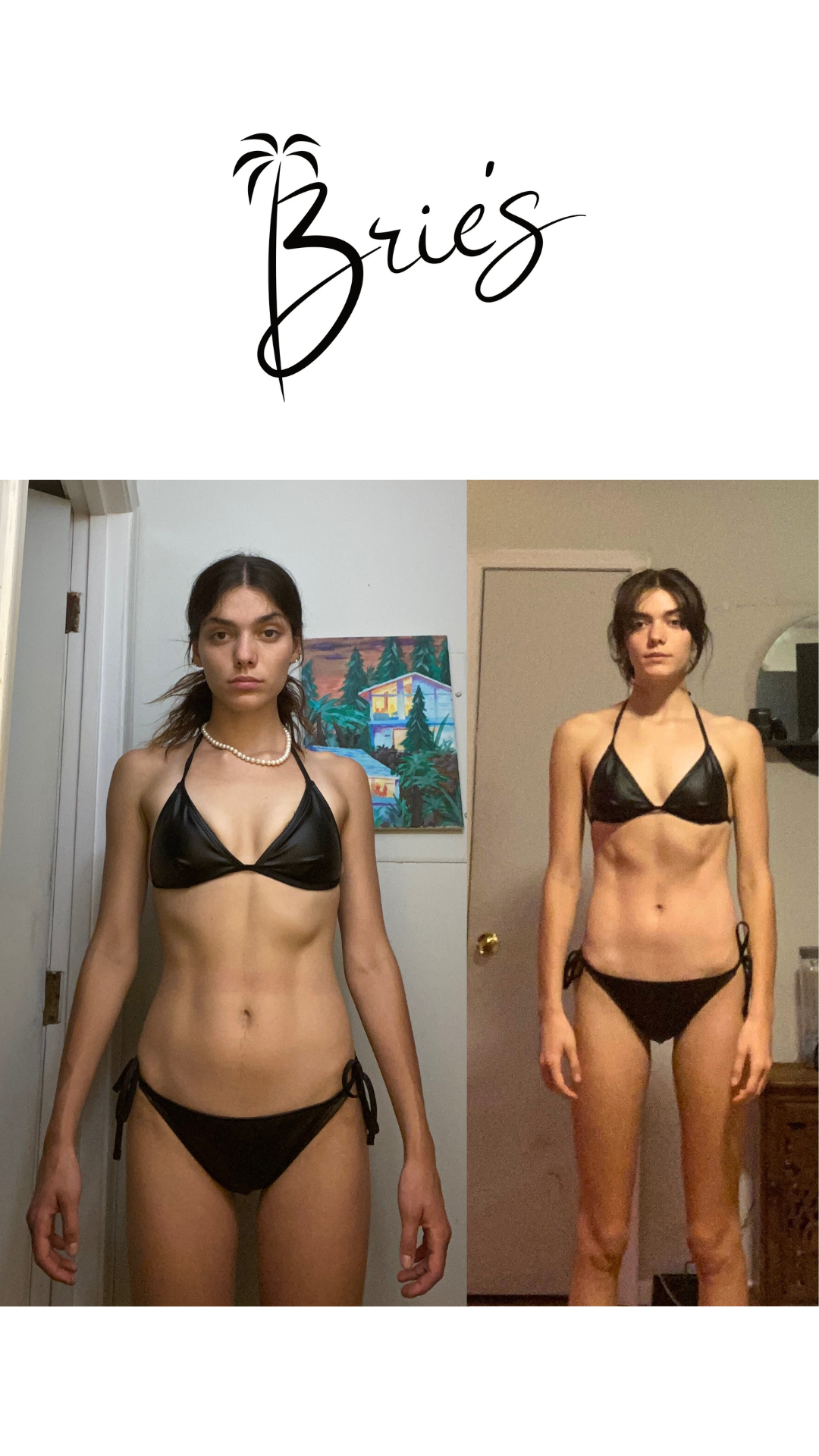 Download Brie's App | low-moderate impact workouts + programs based on anatomy + physiology!