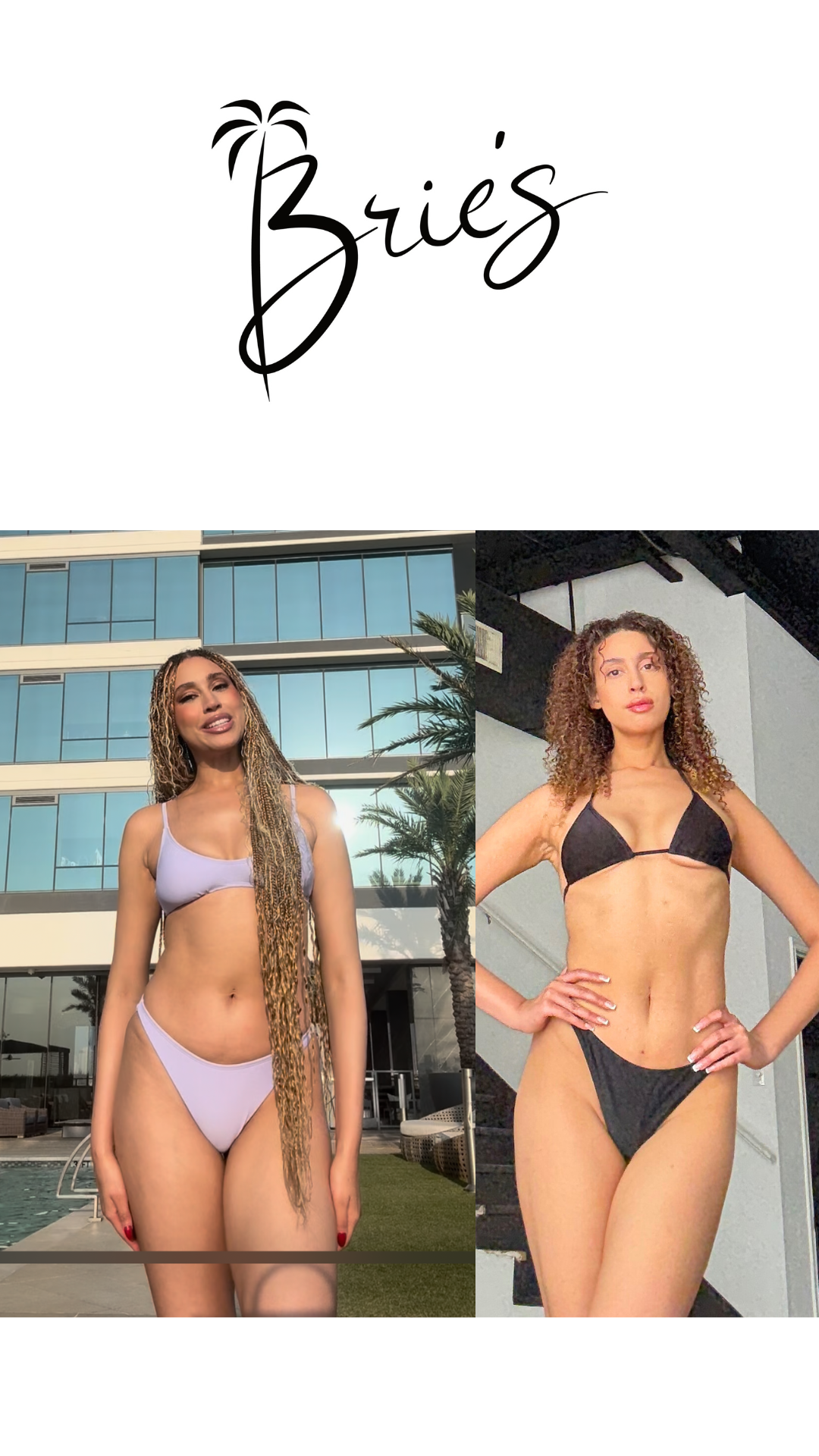 Download Brie's App | low-moderate impact workouts + programs based on anatomy + physiology!