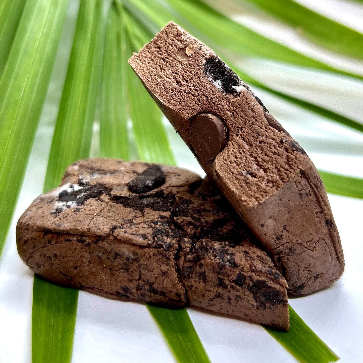 Chocolate Seashells in the Sand