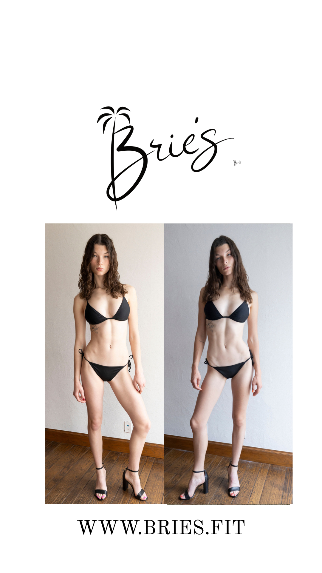 Download Brie's App | low-moderate impact workouts + programs based on anatomy + physiology!