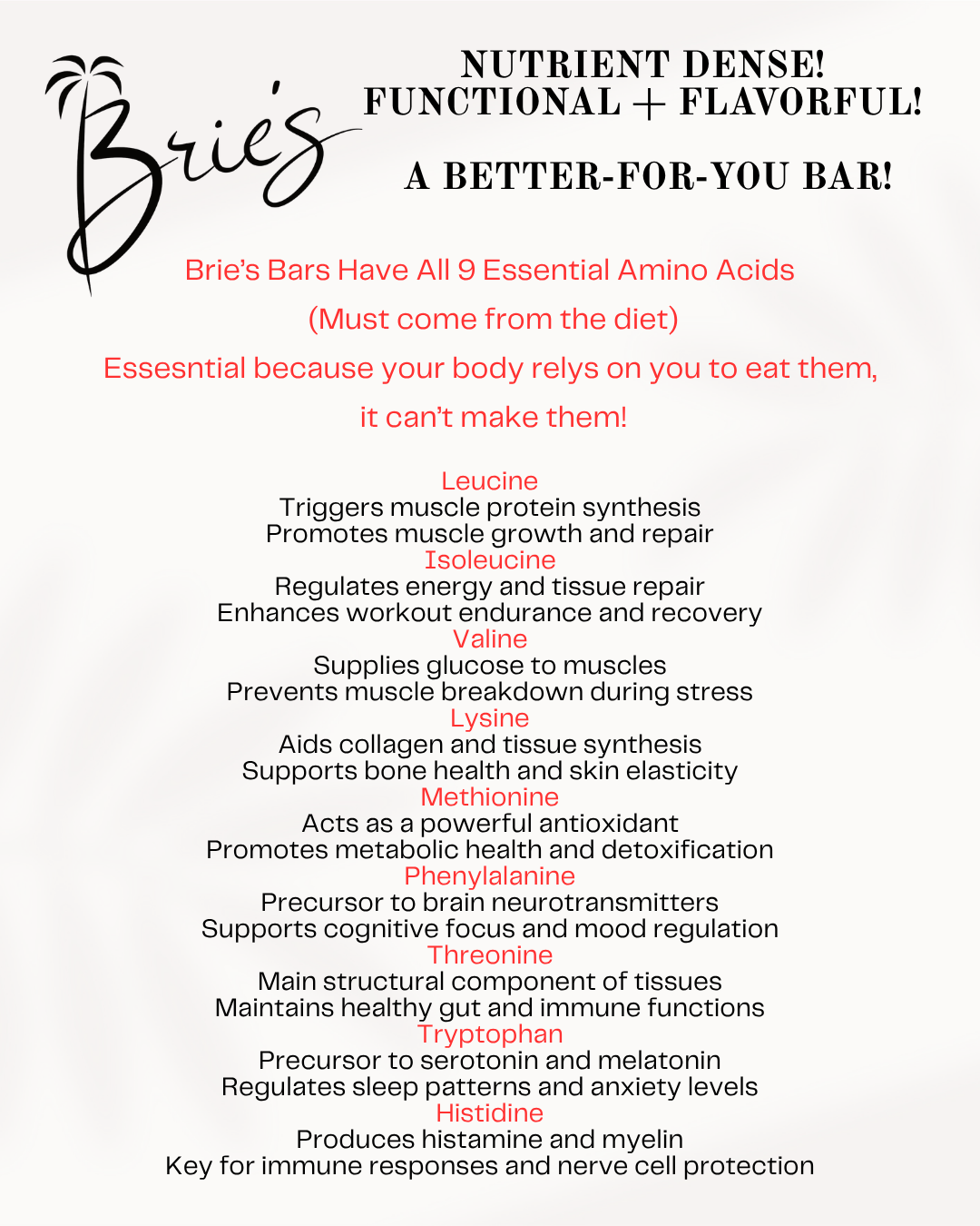 Brie's Bars | Full or Mini | Peanut Butter Chocolate Chip Bay