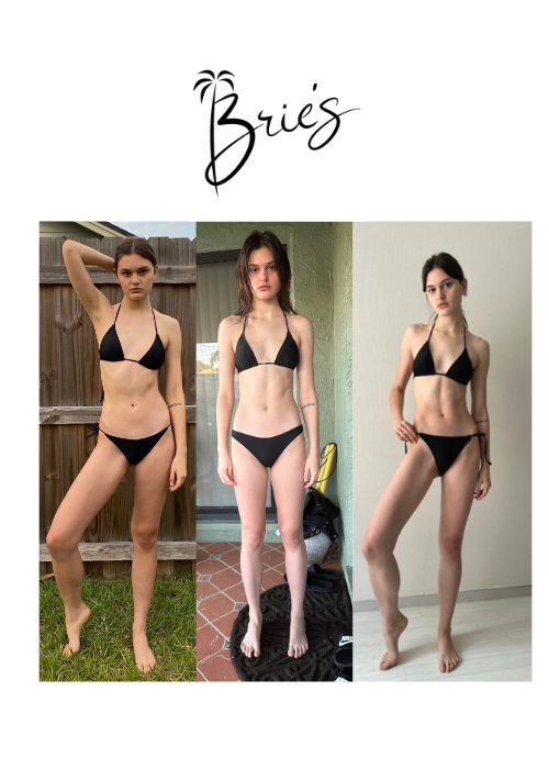 Download Brie's App | low-moderate impact workouts + programs based on anatomy + physiology!